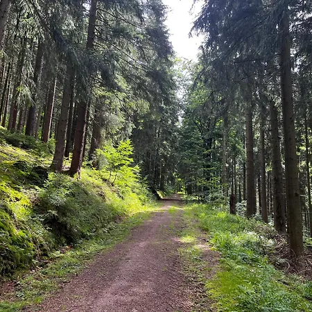 Gaestehaus Im Erzgebirge