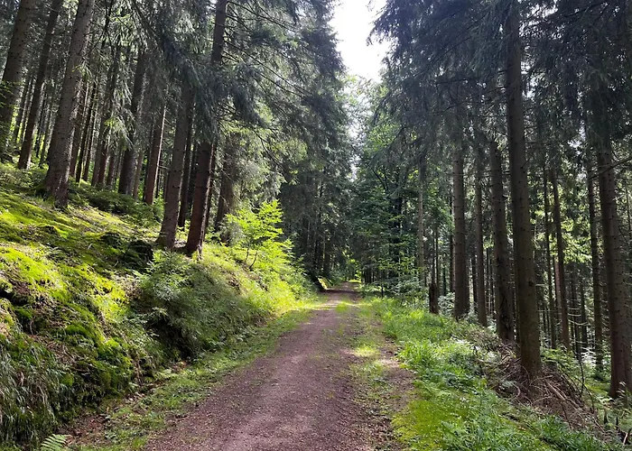 Gaestehaus Im Erzgebirge