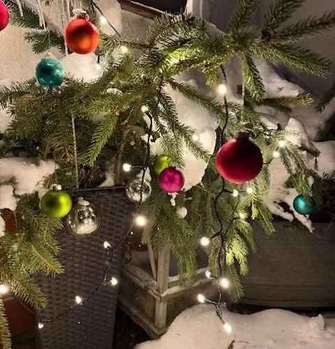 Gaestehaus Im Erzgebirge Daire Zwönitz